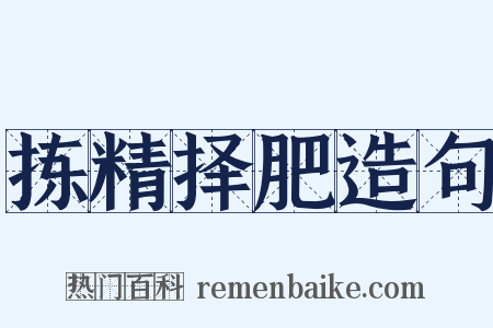 拣精择肥造句是什么意思的图片